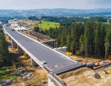 Miniatura: 40 czempionów polskiego budownictwa. Te...