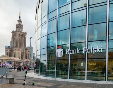 Miniatura: Tarcza dla gospodarki: PKO Bank Polski...