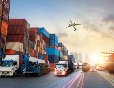 Miniatura: Ta polska branża jest europejskim...