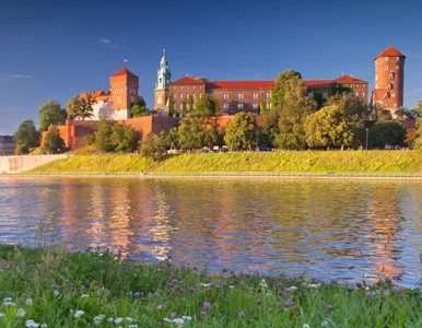 Miniatura: Mamy rekordową liczbę milionerów. Tylu...