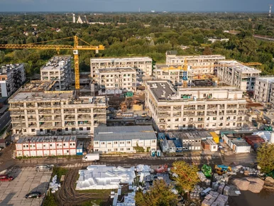 Miniatura: Kto naprawdę zarabia na polskich...