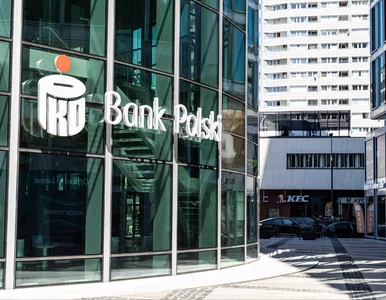 Miniatura: Bank, który ma sfinansować przyszłość. Jak...